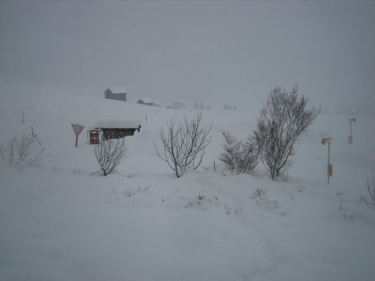 Appartement Haus Ursula à Kals-am Großglockner Extérieur photo