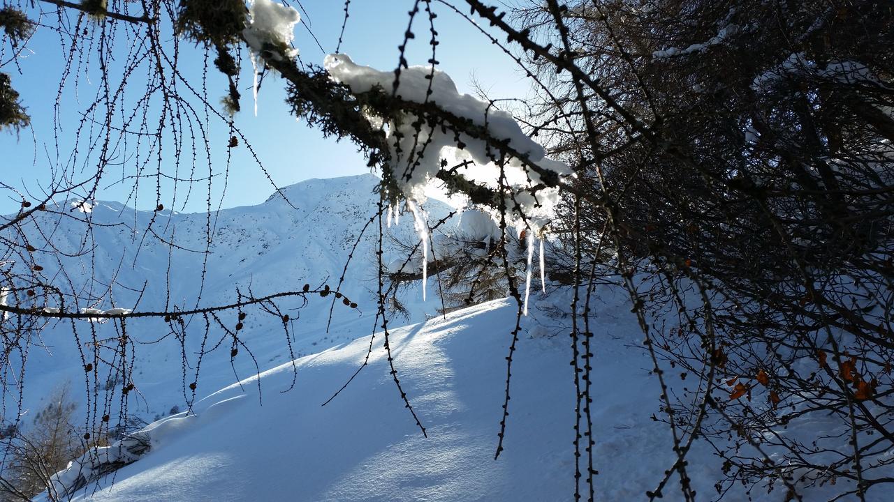 Appartement Haus Ursula à Kals-am Großglockner Extérieur photo